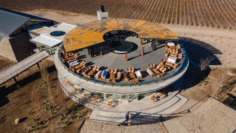 Imagen de WhatsApp 2025-01-08 a las 09.30.21_f7ecd8da